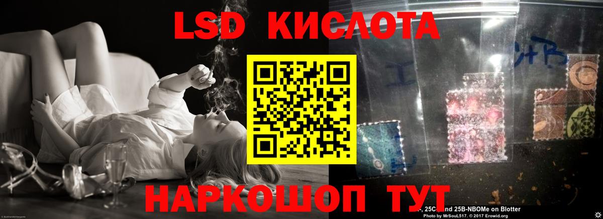 ЛСД экстази  ЛСД экстази кислота  Вход с VPN  Курчалой  Лсд 25 экстази кислота 