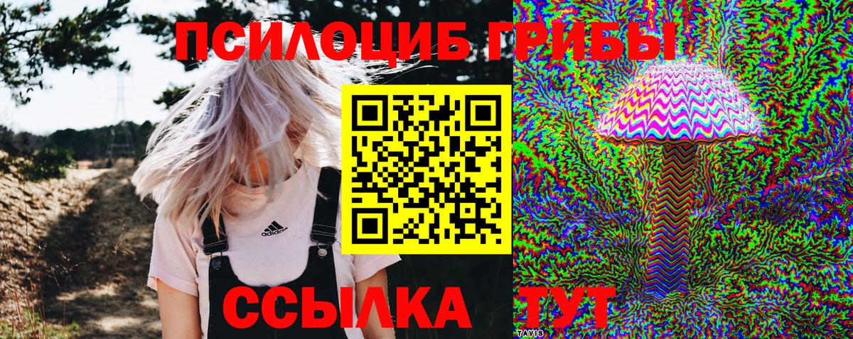 Курчалой  Галлюциногенные грибы мицелий  Вход с VPN 